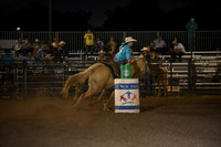 WILSON, PAESYNDSC_0432.JPG