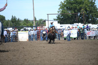 COBB, CARYSNDSC_4432.JPG