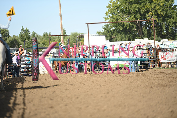 DEKNIKKER, KAILEYDSC_5092.JPG