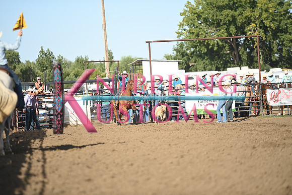 DEKNIKKER, KAILEYDSC_5093.JPG