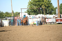 DEKNIKKER, KAILEYDSC_5095.JPG