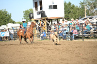 DEKNIKKER, KAILEYDSC_5103.JPG