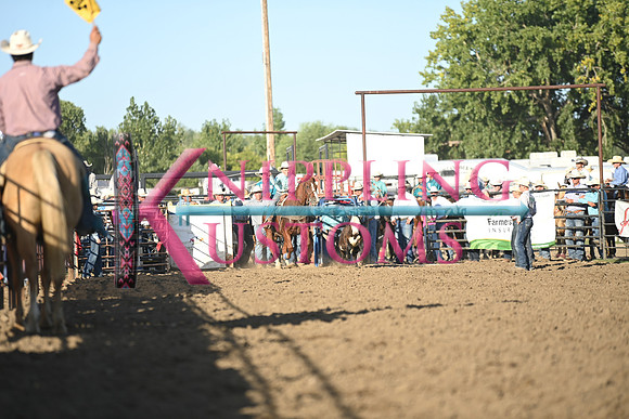 GAIKOWSKI, TRACEDSC_5393.JPG