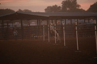 HARVEY, HATLYNNDSC_6524.JPG.JPG
