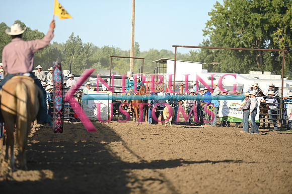 HUNT, KANTONDSC_5553.JPG
