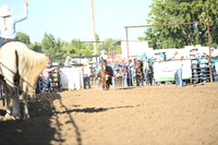 SCHACK, EMILYDSC_5261.JPG.JPG
