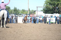 SHELBOURN, BAILEYDSC_4337.JPG