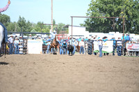 SHELBOURN, BAILEYDSC_4339.JPG