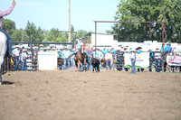 SHELBOURN, BAILEYDSC_4340.JPG