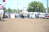 SHELBOURN, BAILEYDSC_4341.JPG