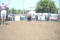 SHELBOURN, BAILEYDSC_4342.JPG