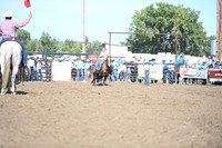 SHELBOURN, BAILEYDSC_4344.JPG