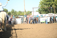 SLABA, SAVIEDSC_5163.JPG