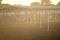 STERKEL, MIKENADSC_6056.JPG