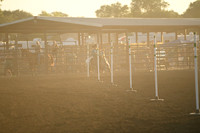 STERKEL, MIKENADSC_6057.JPG