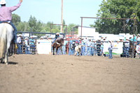 VAN WINKLE, PAISLEYDSC_4354.JPG