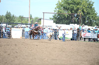 VAN WINKLE, PAISLEYDSC_4356.JPG