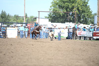 VAN WINKLE, PAISLEYDSC_4357.JPG