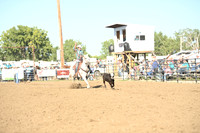 WITTE, CAROLINEDSC_5204.JPG.JPG