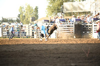 BRACHA, LEDOUXDSC_6152.JPG