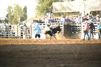 BRACHA, LEDOUXDSC_6151.JPG
