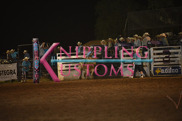 KELLY, KOYERDSC_7362.JPG