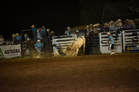 KELLY, KOYERDSC_7365.JPG