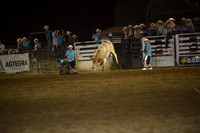 KELLY, KOYERDSC_7366.JPG