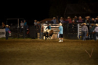 SCHMIDT, CASENDSC_7086.JPG