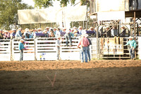 STIRLING, BRIDGERDSC_6221.JPG