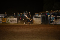 WEBORG, TAOSDSC_7240.JPG