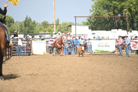 BENSON, TYMBERDSC_9192.JPG