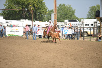 BENSON, TYMBERDSC_9197.JPG