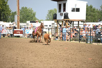 BENSON, TYMBERDSC_9200.JPG