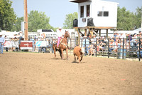 BENSON, TYMBERDSC_9201.JPG
