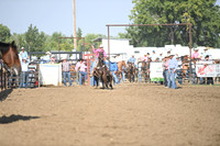 CHENEY, RIGGENSDSC_9453.JPG