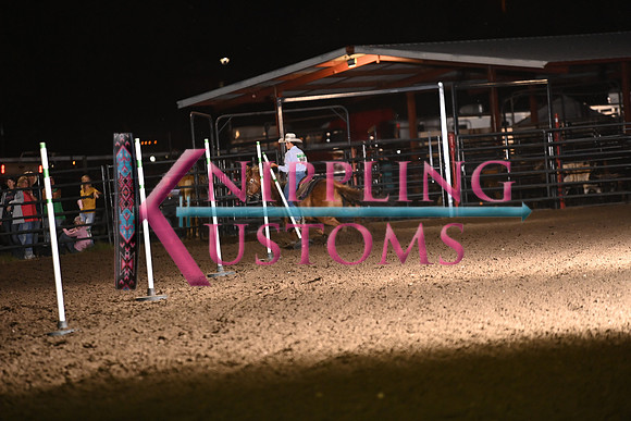HAVLIK, KATEDSC_0739.JPG