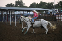 HAVLIK, SELAHDSC_0306.JPG