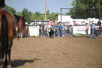 MANGIS, MESADSC_9254.JPG