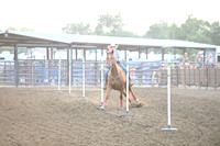 MCGREGOR, HALEYDSC_0235.JPG