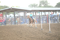 NOVAK, KAYLEEDSC_0271.JPG