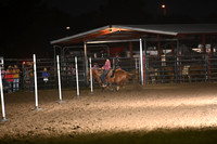 SHEARER, TERRYNDSC_0646.JPG