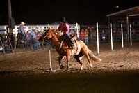 SHEARER, TERRYNDSC_0649.JPG
