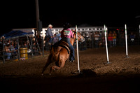 SHEARER, TERRYNDSC_0650.JPG