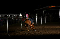 SHEARER, TERRYNDSC_0651.JPG