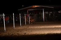 SHEARER, TERRYNDSC_0653.JPG