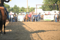 SHELBOURN, COYDSC_0024.JPG