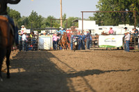 SHELBOURN, COYDSC_0025.JPG