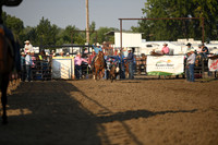 SHELBOURN, COYDSC_0026.JPG