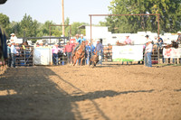SHELBOURN, COYDSC_0027.JPG